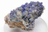 Vivid-Blue Azurite Encrusted Quartz Crystals - China #197110-1